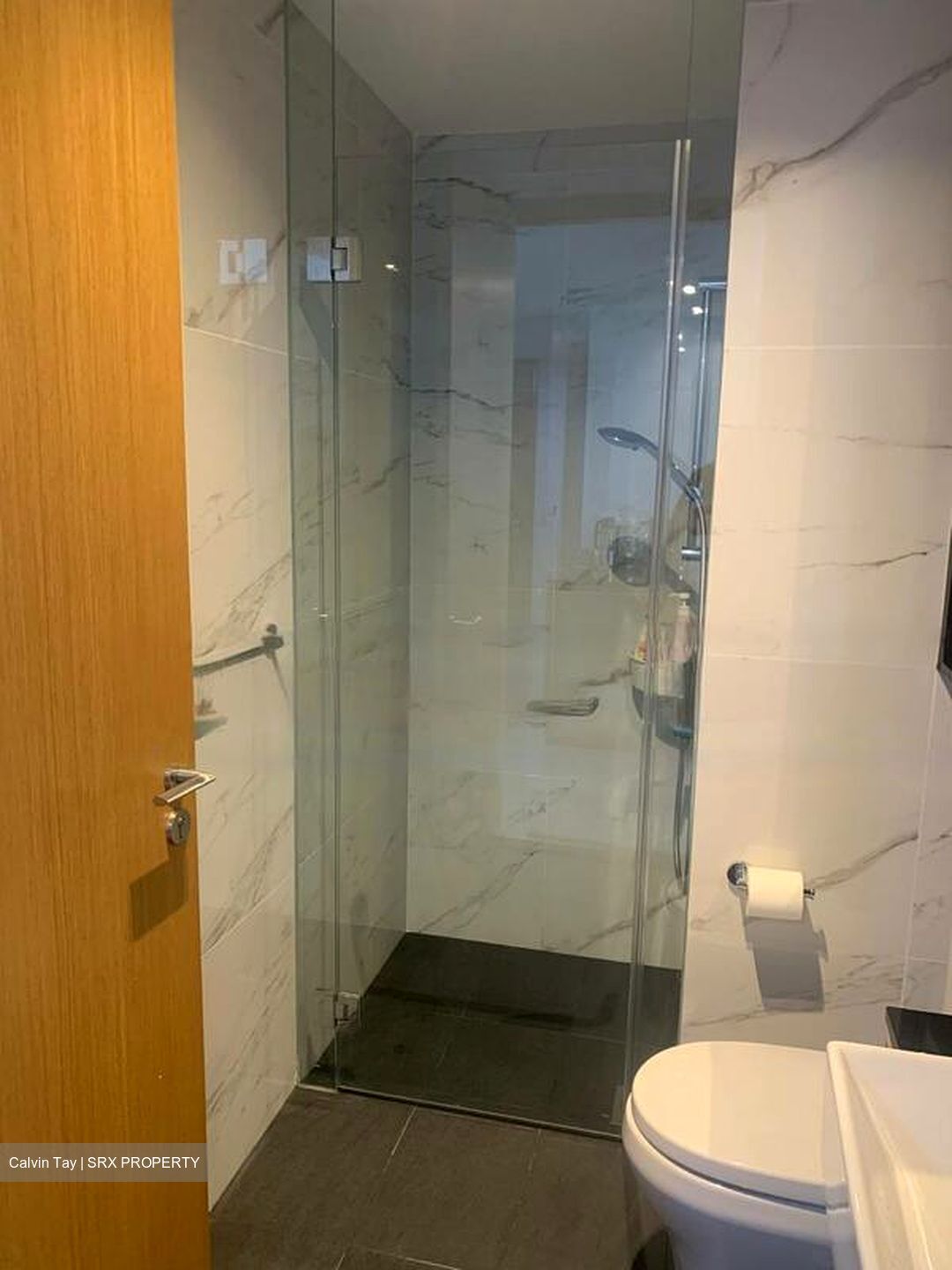 The Verandah Residences (D5), Apartment #466407461